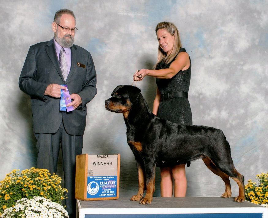 Olive 5.5yrs 4pts - Click for Larger View